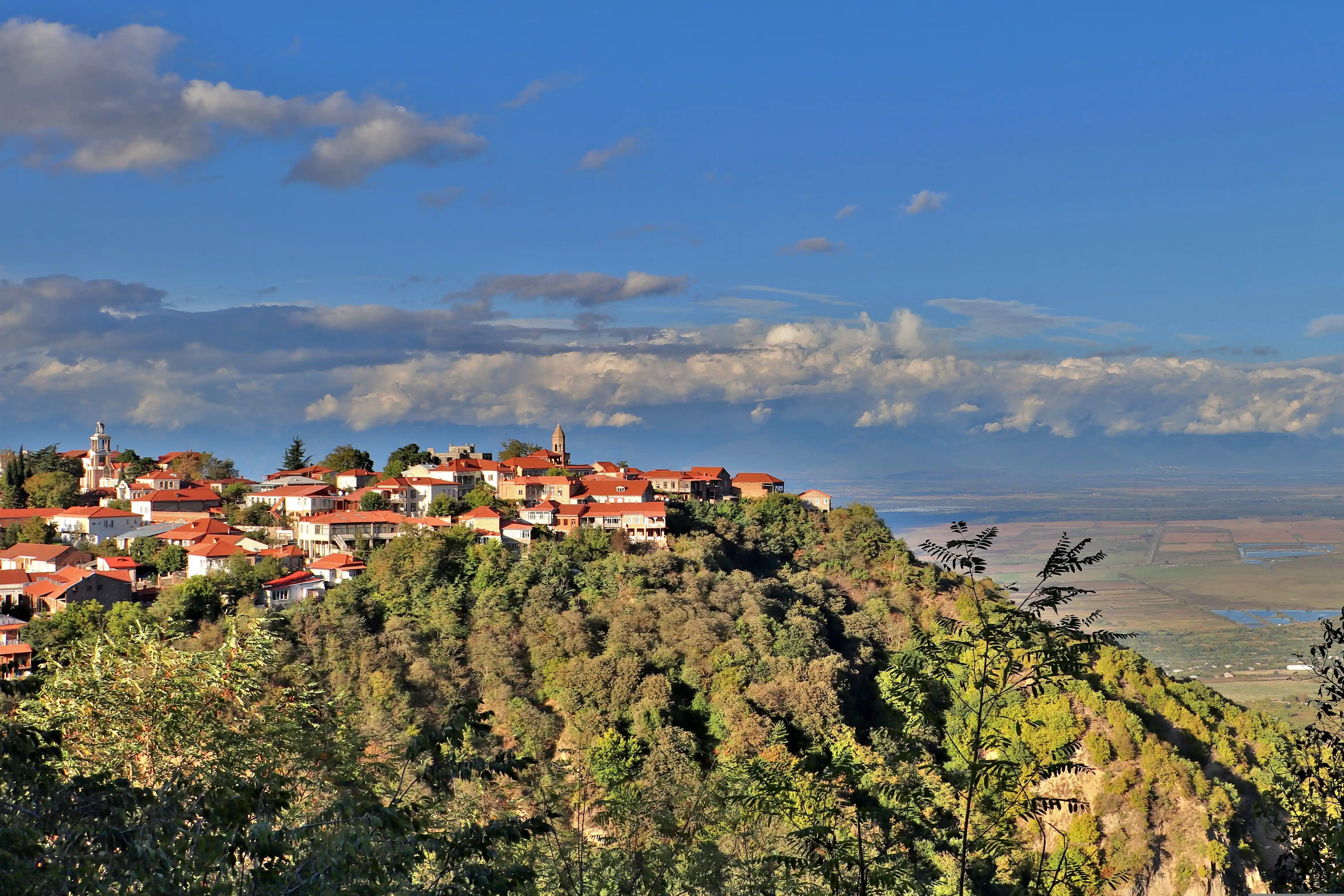 Discover Georgia